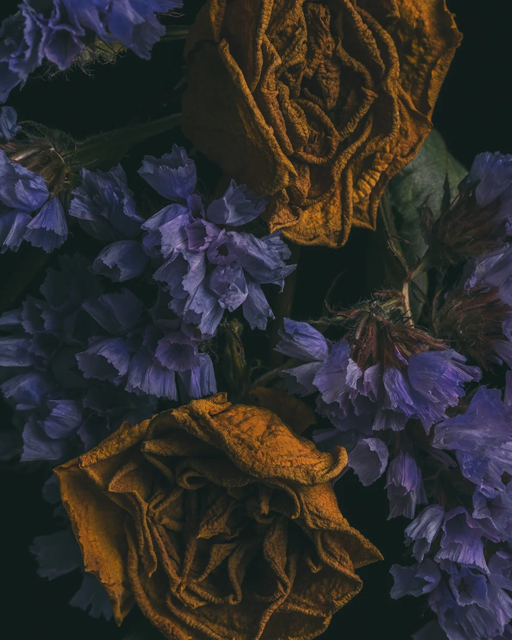 Rebirth of Flowers Collection