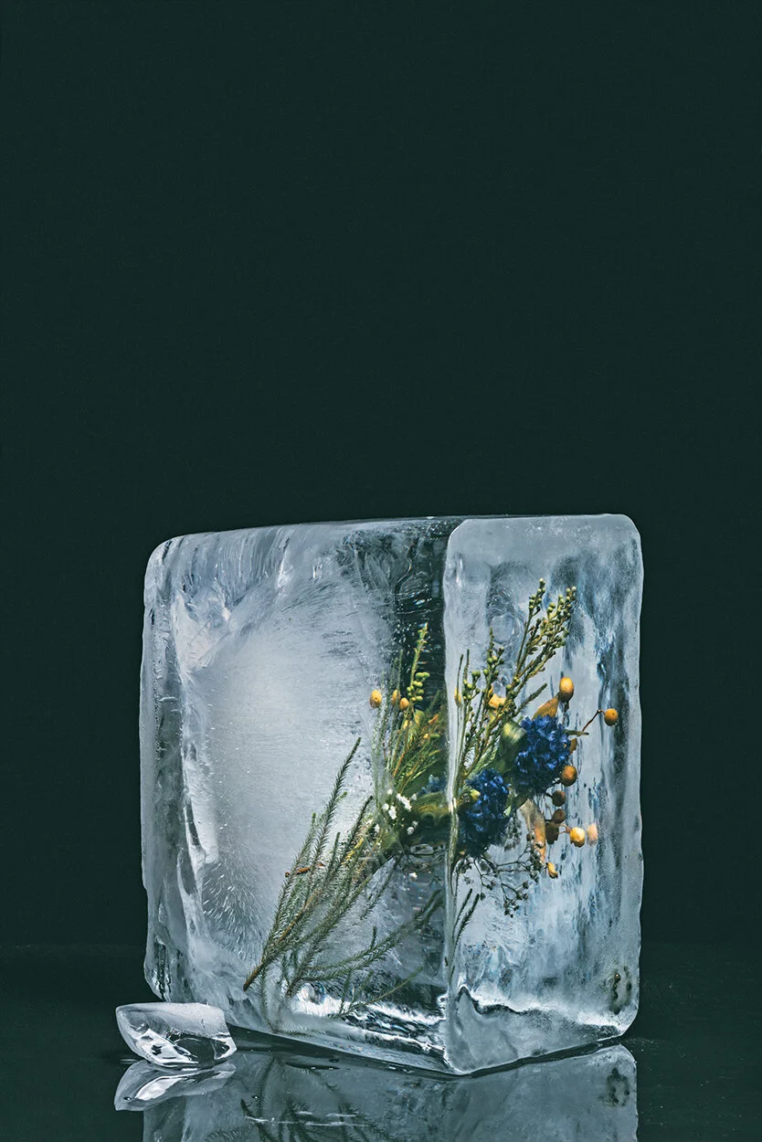  Ice flower fine art photo 