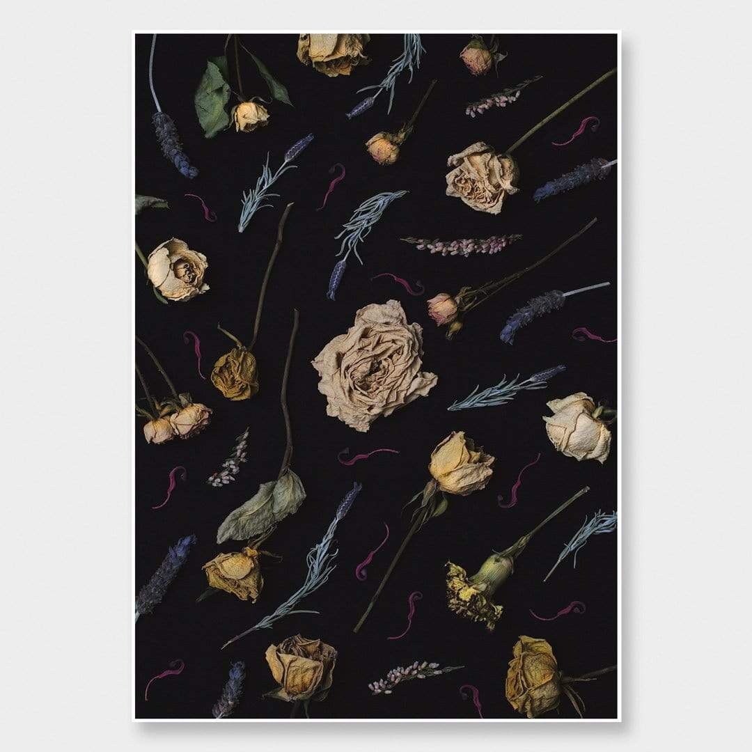 aphrodite_print.jpeg