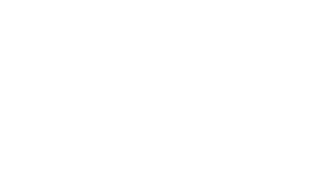 logo_v.png