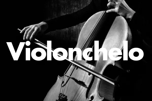 Violonchelo