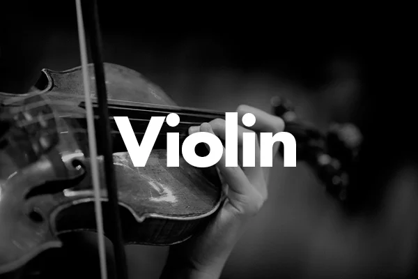 Violín