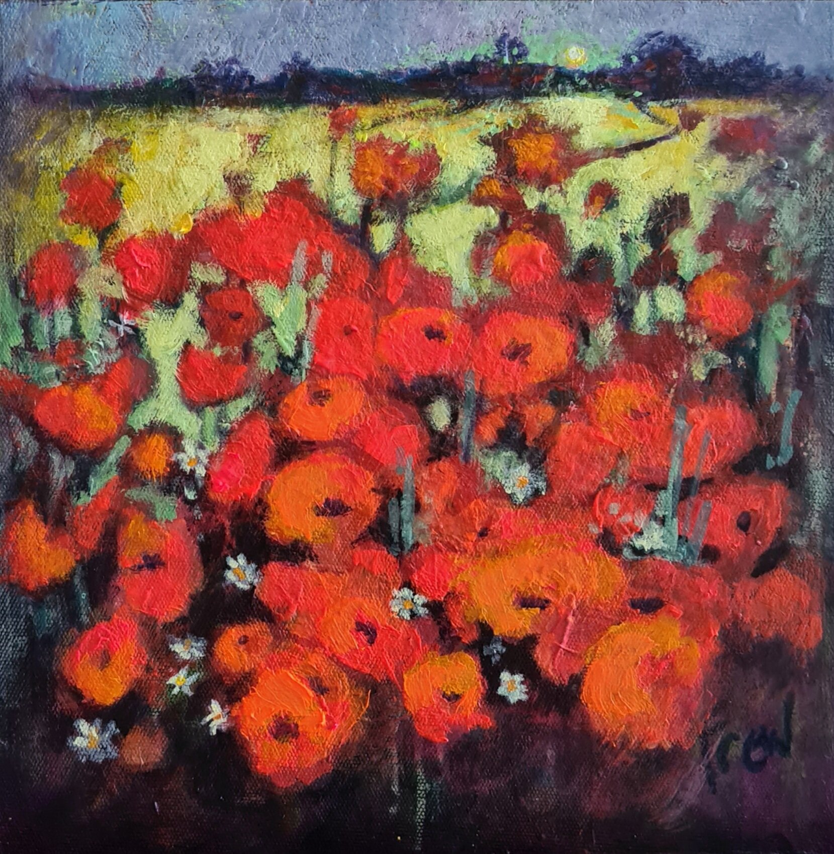 POPPIES AND DAISIES