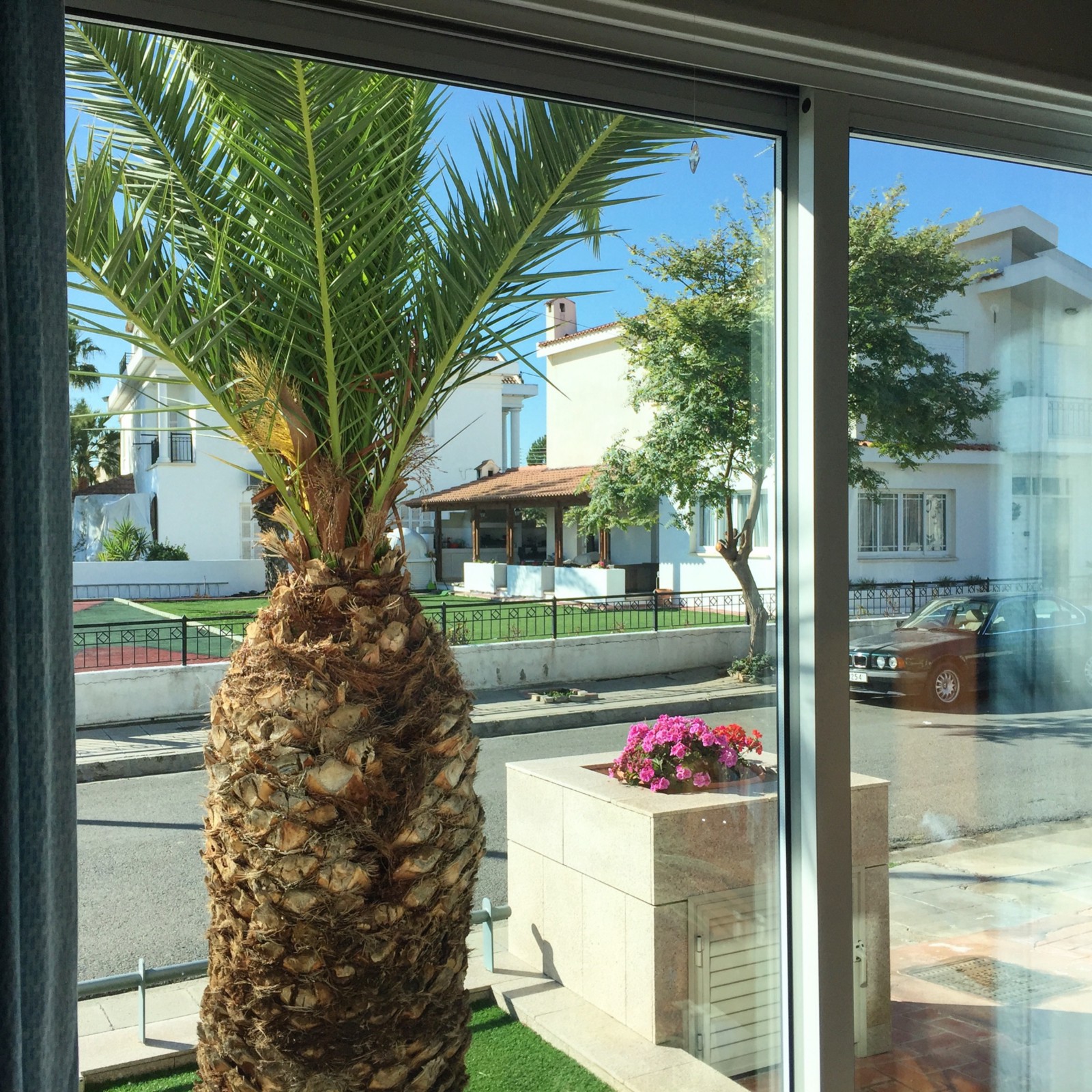 personal branding examples in cyprus
