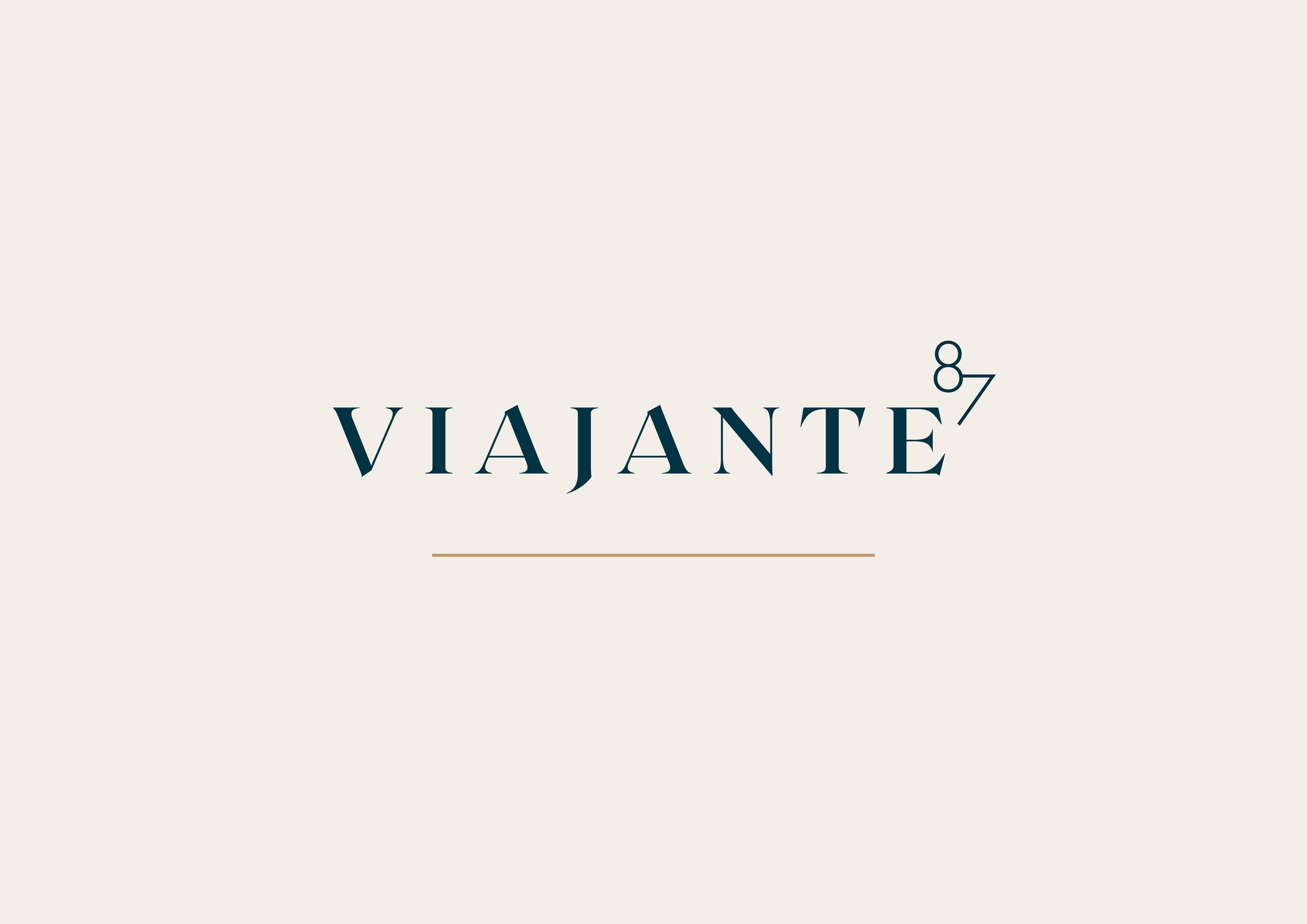 viajante-87-graphic-horizontal-light-logo.jpg