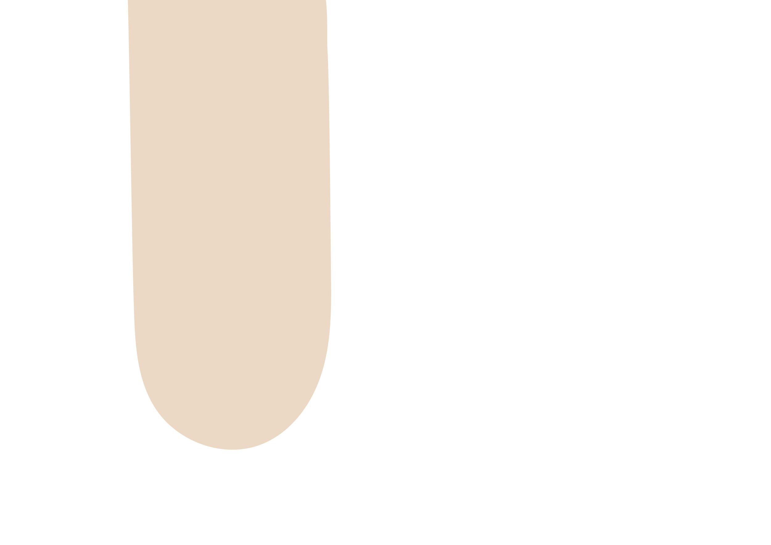 banner-white-shape-beige.jpg
