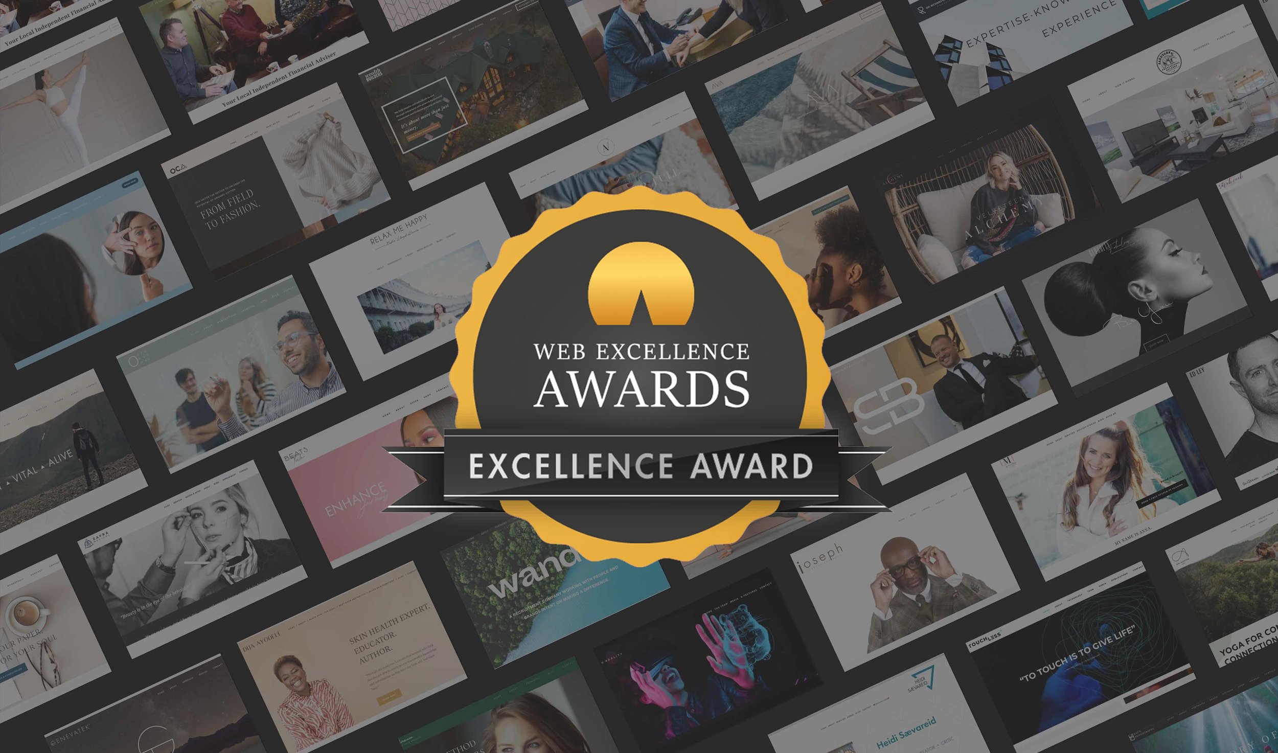 excellence-award-banner.jpg