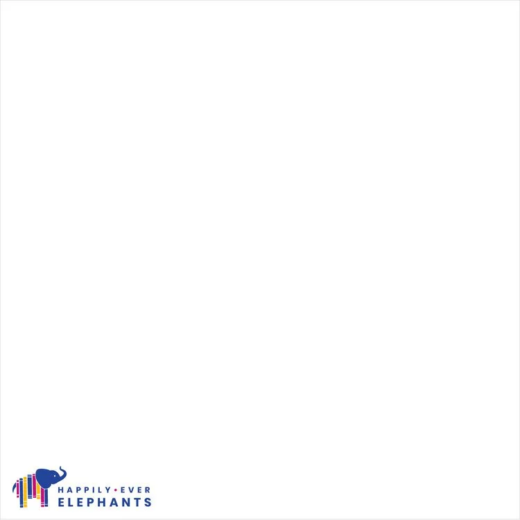 Brand-Identity-Elephants4.jpg