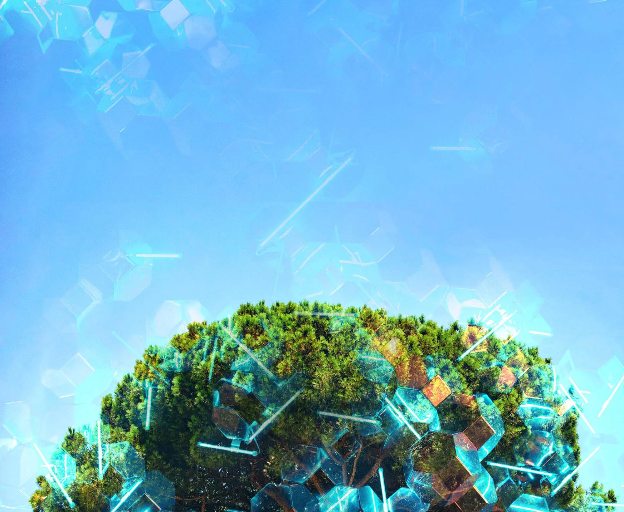 decentro-photo-graphic-tree-top-hexagons.jpg