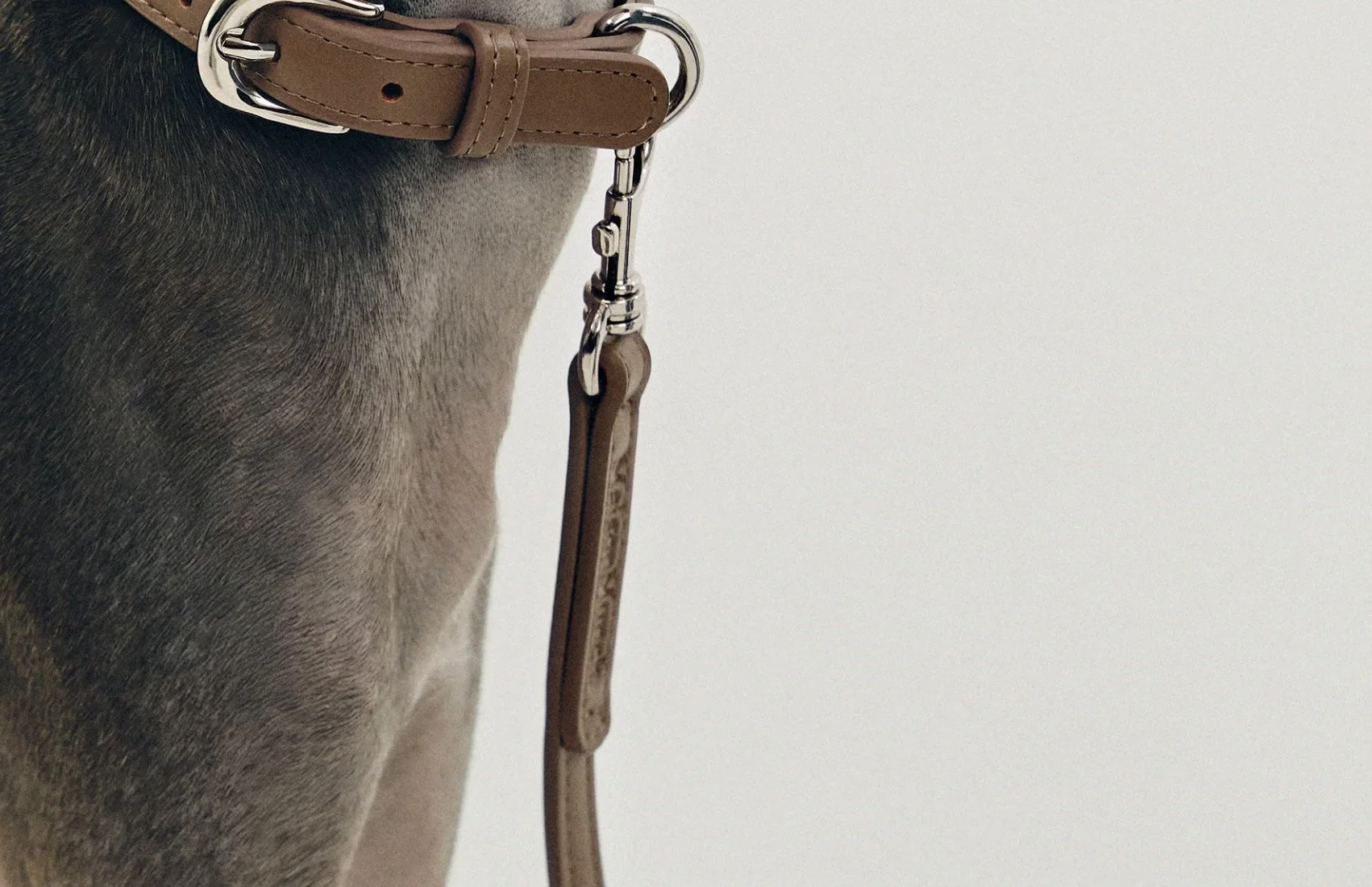 Screenshot 2026-03-27 at 1.55.45 PM.jpg