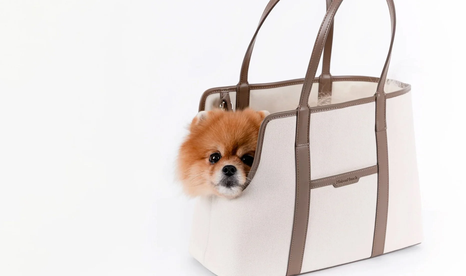 Screenshot 2026-03-27 at 1.54.42 PM.jpg