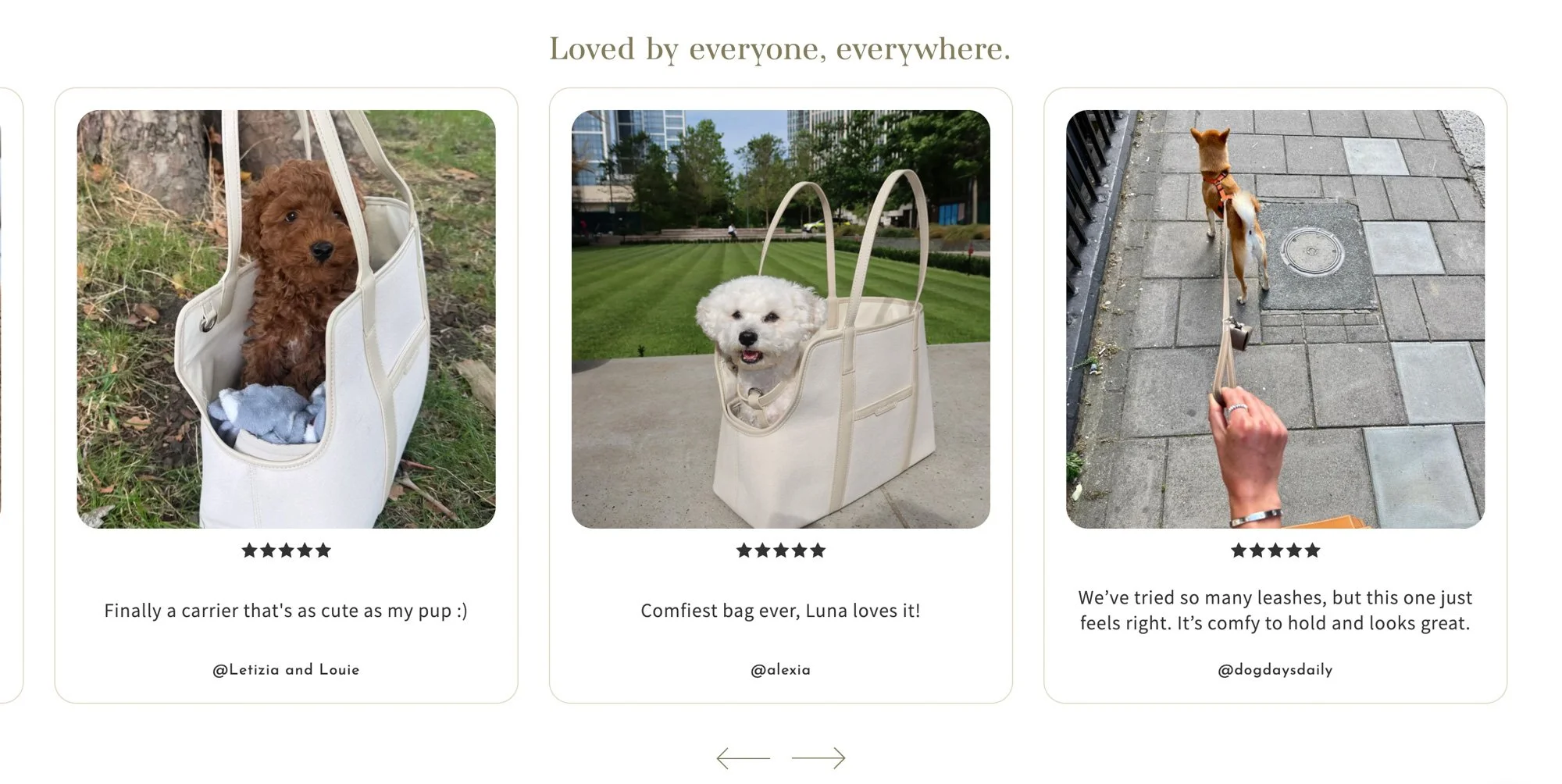 Screenshot 2026-03-27 at 1.53.19 PM.jpg