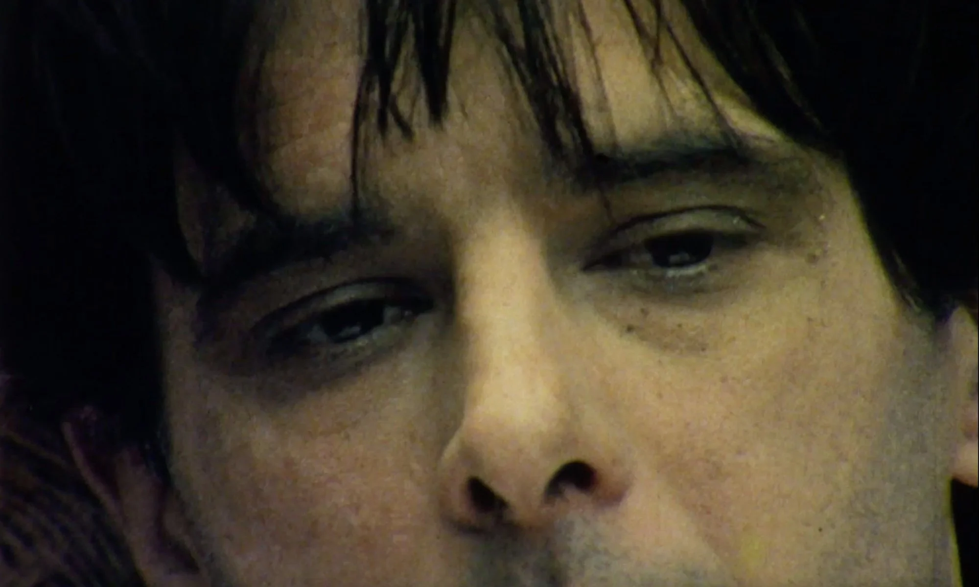 short film Animals close-up Rafael Mahdavi.jpg