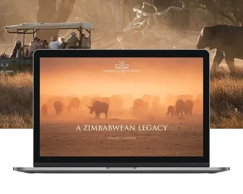 Amalinda+Safari+Collection.webp