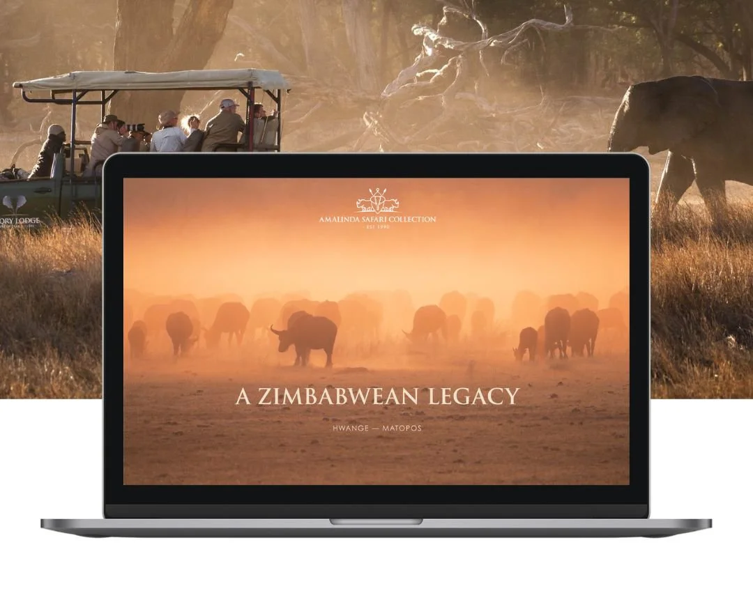 Amalinda Safari Collection.jpg