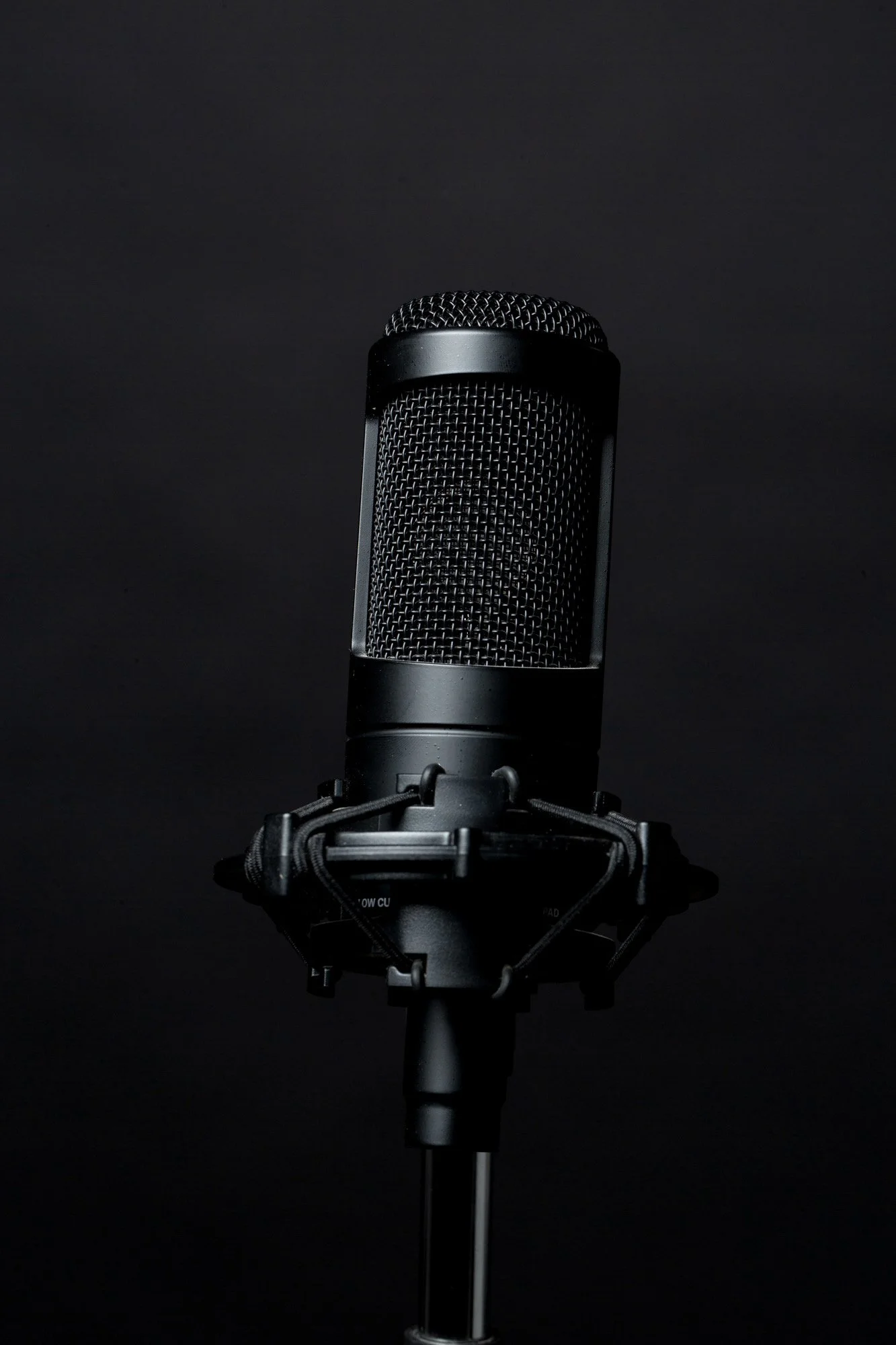 black-standing-microphone.jpg