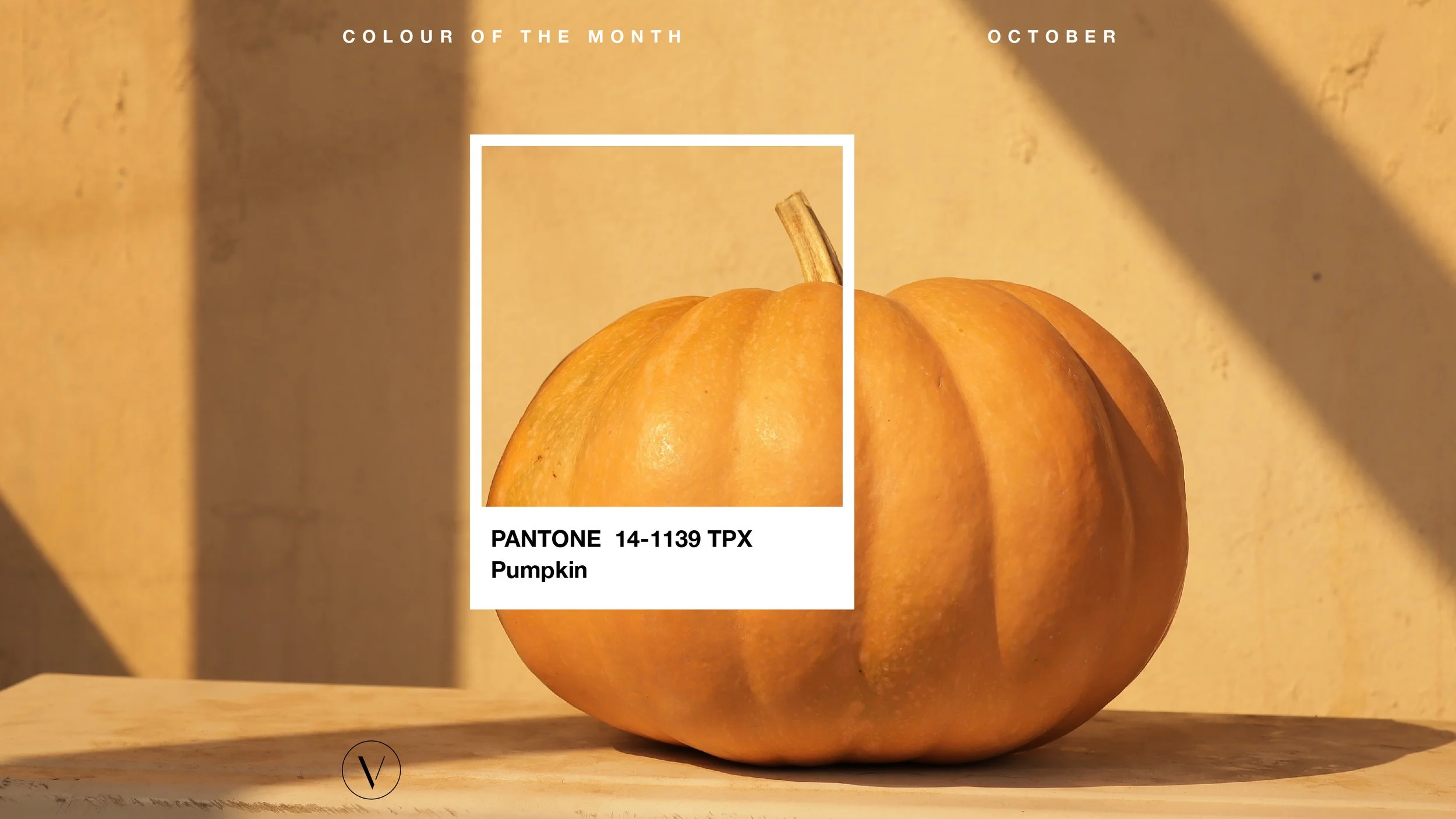 Pumpkin – Colour of the Month for October | Visuable®️