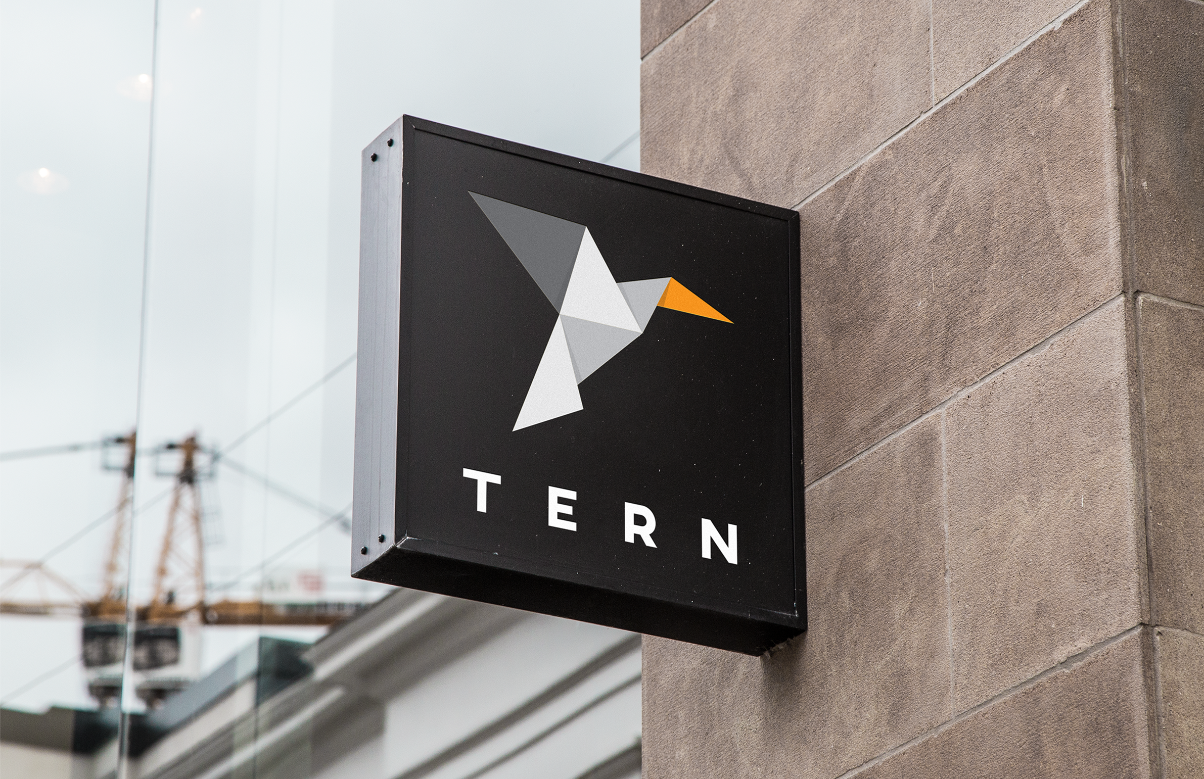 TERN-2.png