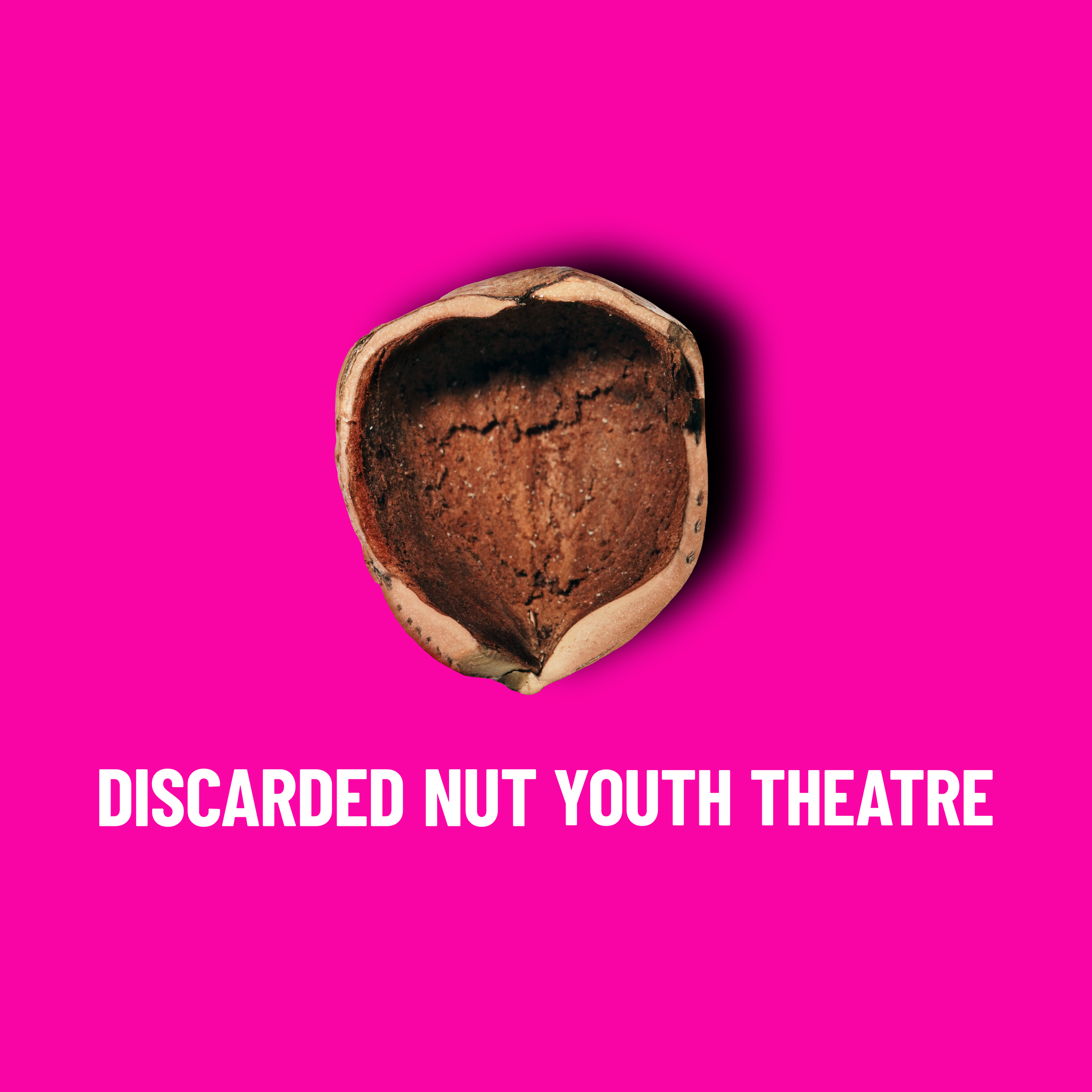 Discarded Nut_DNYT - Pink.png