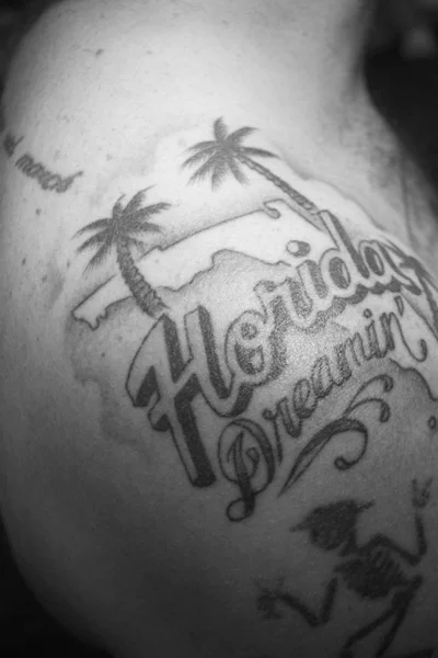 1_1h4a2015-am-bdo-florida-andrew-seward-pjm-goon.jpg