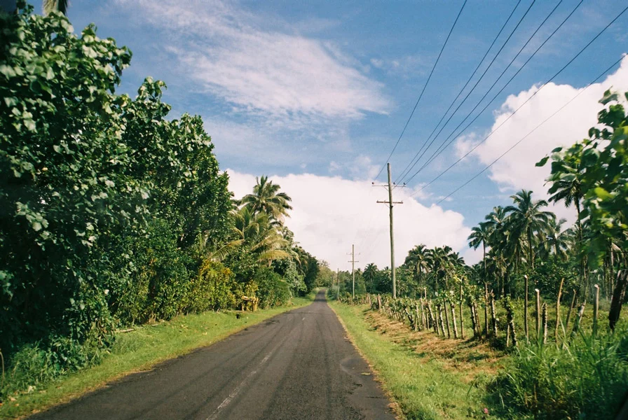 5_5f1000036-pjm-goon-samoa-rd.jpg