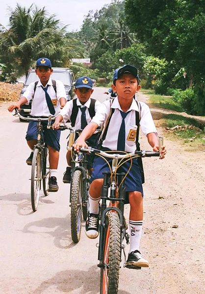 5_506410apjm-kids-sumatra.jpg