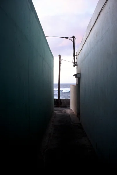 13_f1020009pjmgoon.jpg