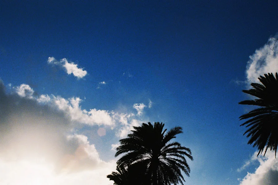 OAHU, HAWAII