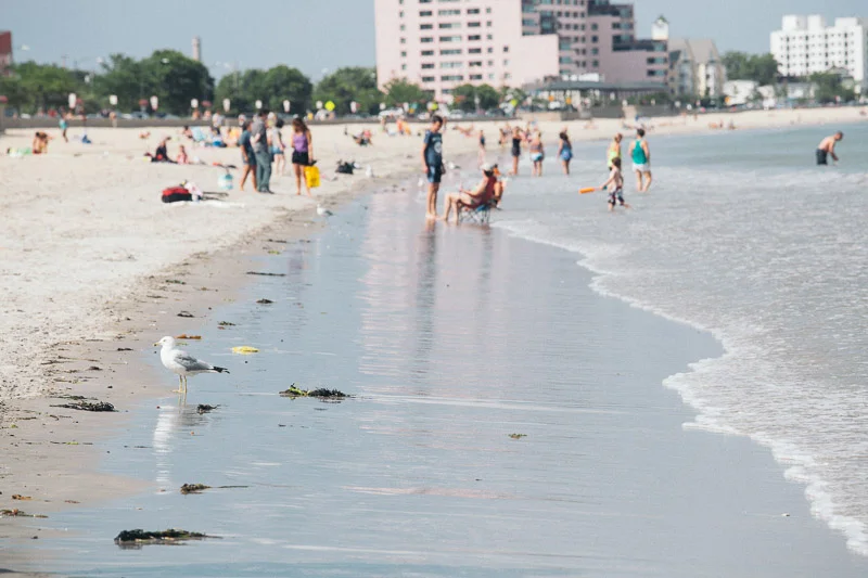 Media — Water's Edge Apartments