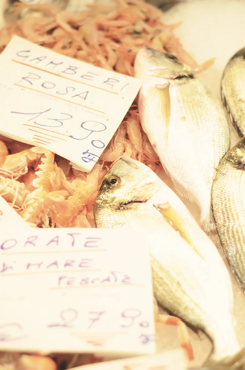 pescheriecontigenova39.jpg