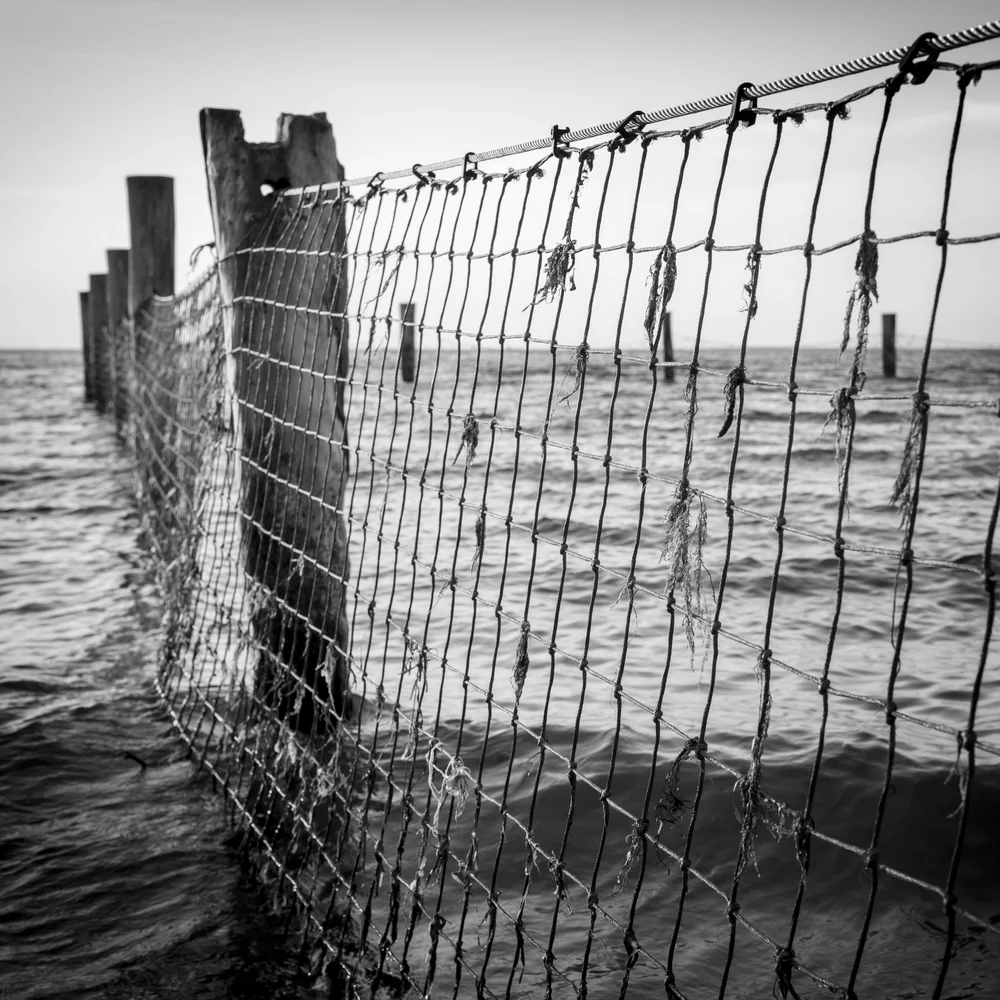 Bespoke match and filtering software to save search time