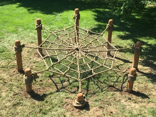 Spider_Web_Climber_2.jpg