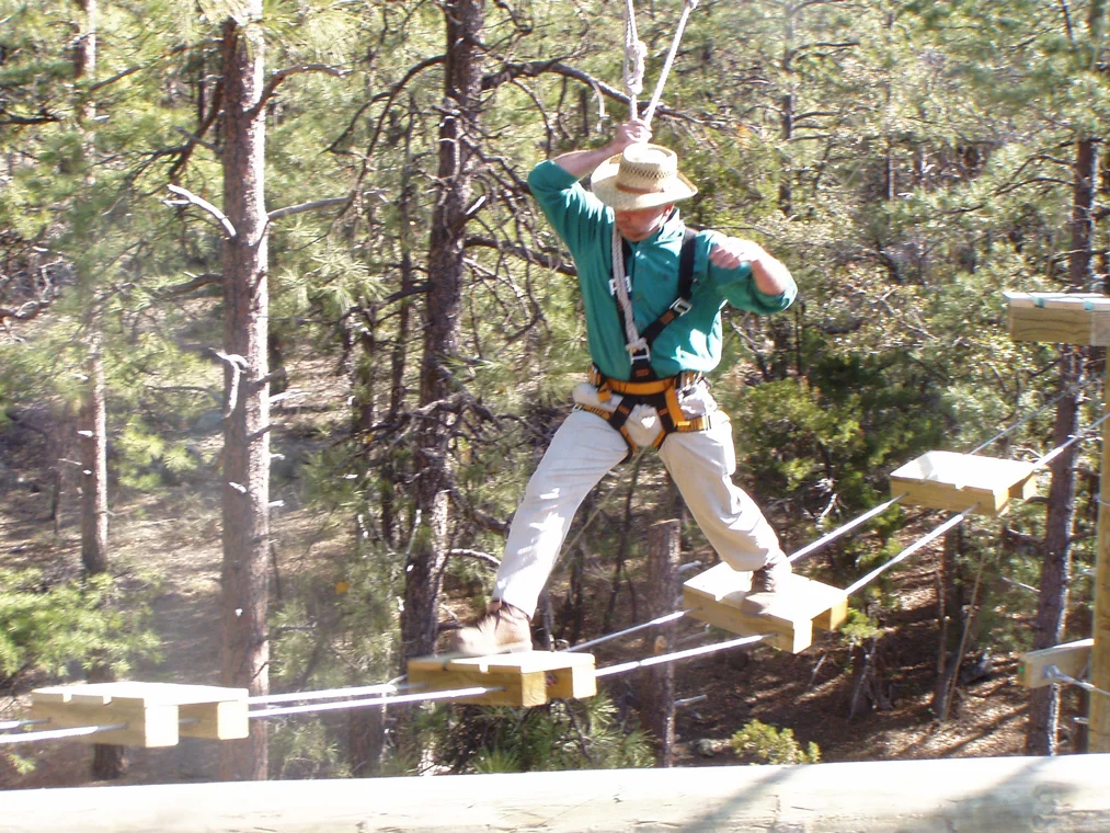 bridge-jumping.jpg