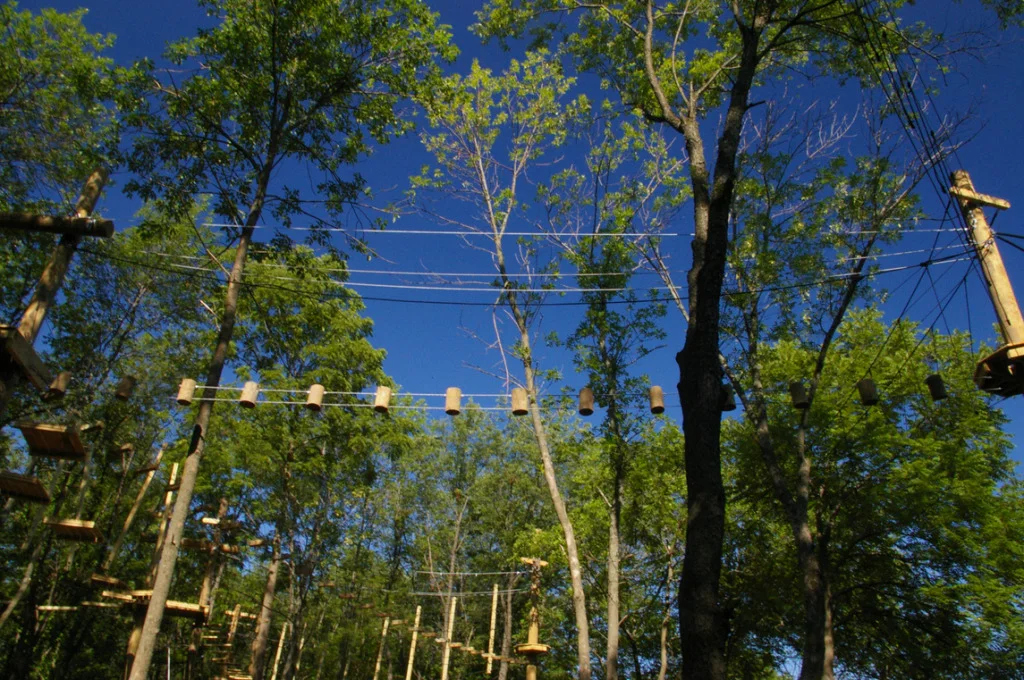 stump-crossing-1024x680.jpg
