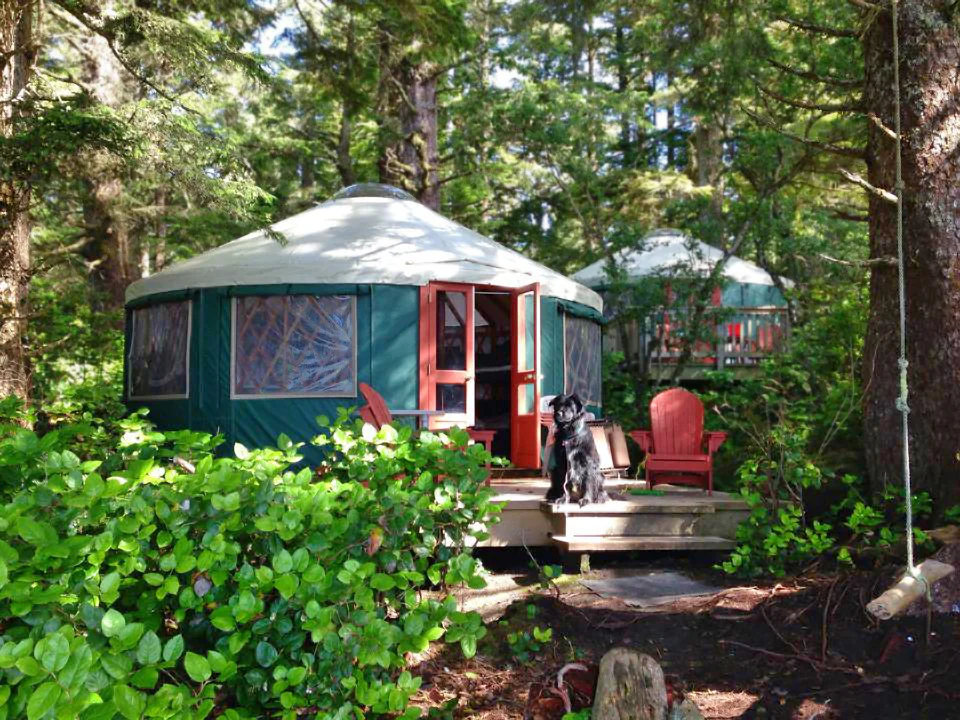 Pacific-Yurts-Campground-with-Dog.jpg