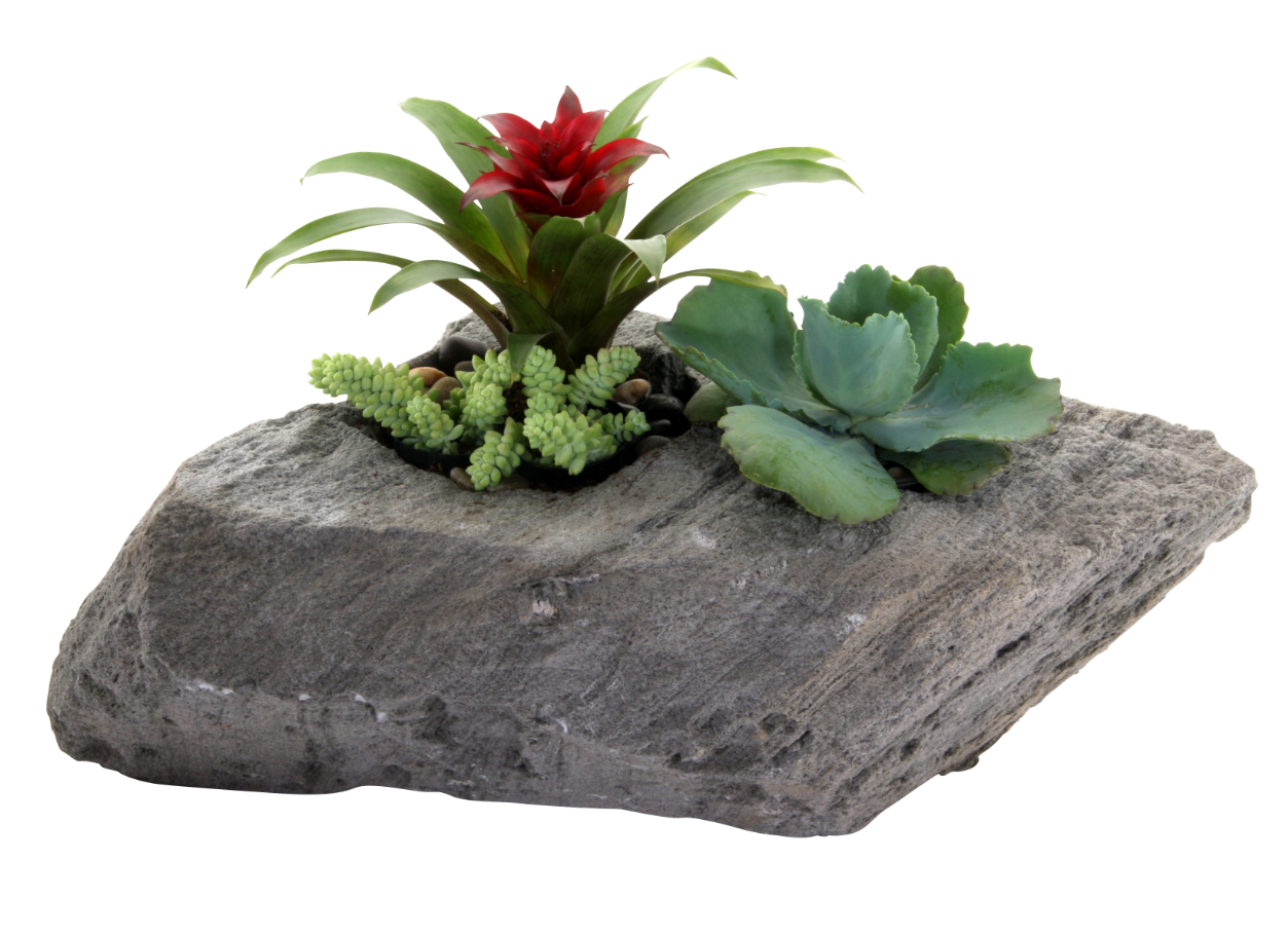 2-Hole-Planter.png