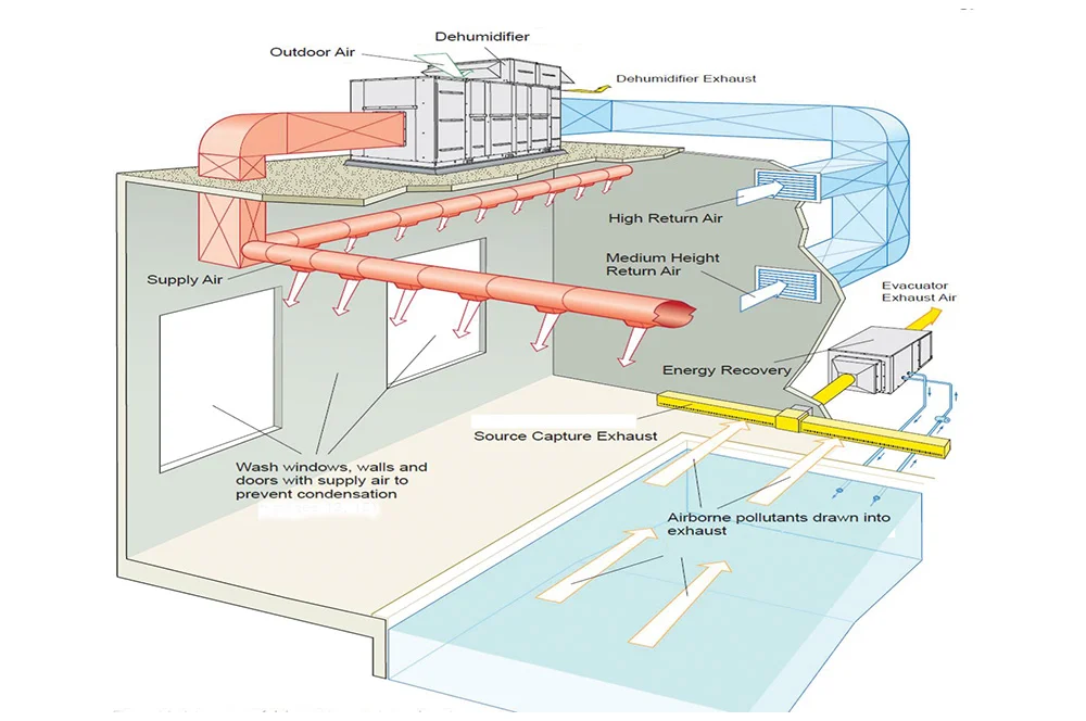 PRB1117_Gaddo_Natatorium2_Illustration.jpg