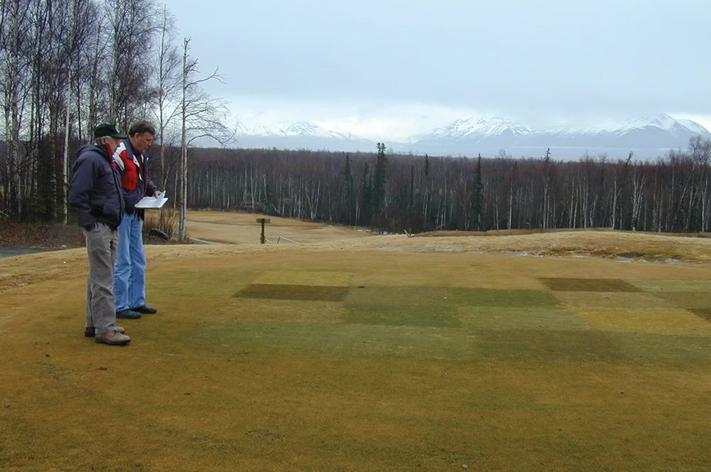 PRB0618_Brown_Turf1.jpg