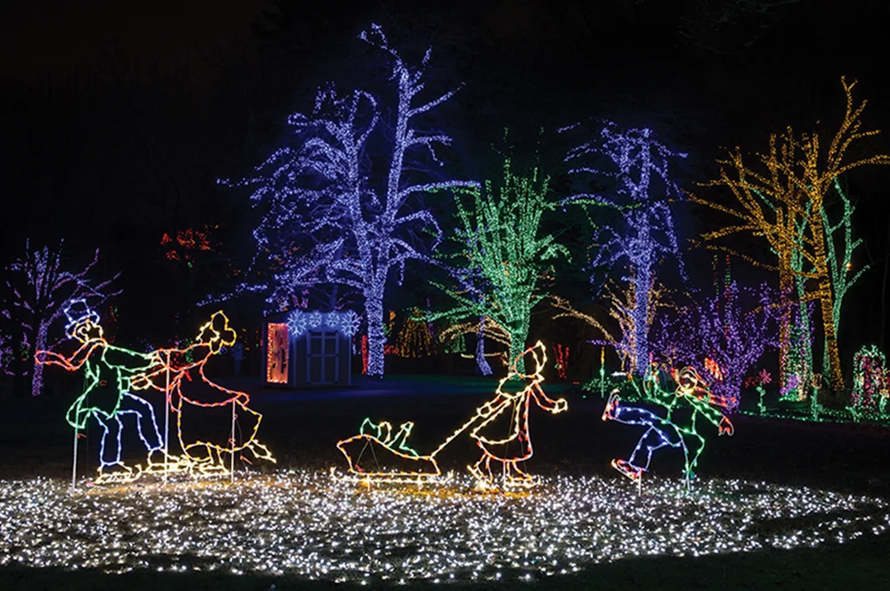 PRB1218_Tomlinson_Lights2.jpg