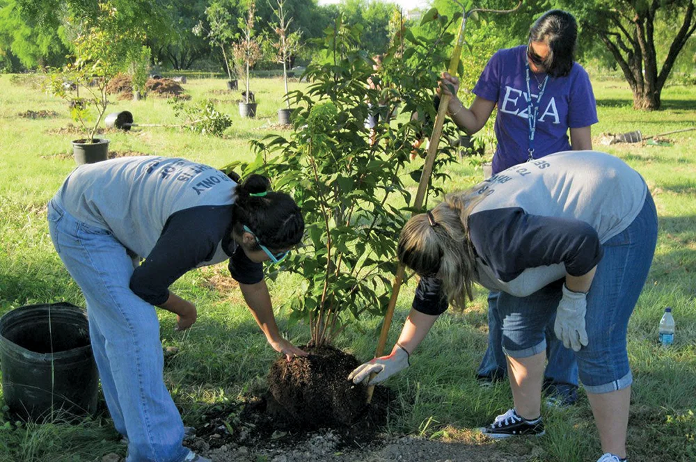 PRB0313_Irvin_Tree Planting1.jpg