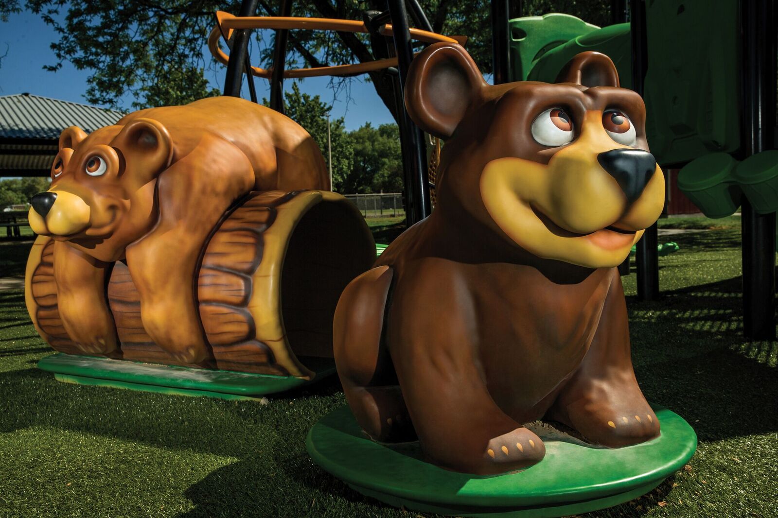 Bear.jpeg