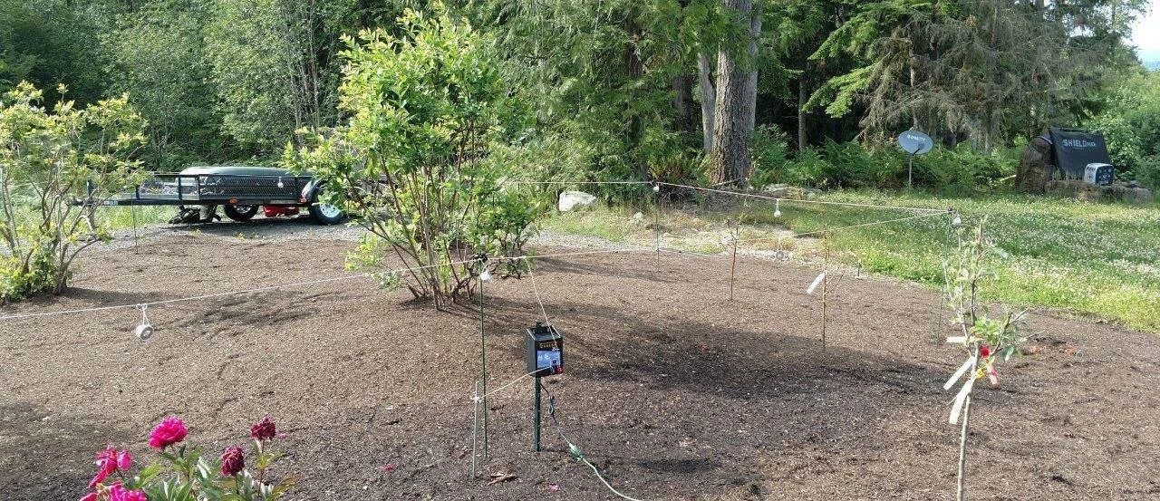 Richardson - Deer Busters electric fence.jpg