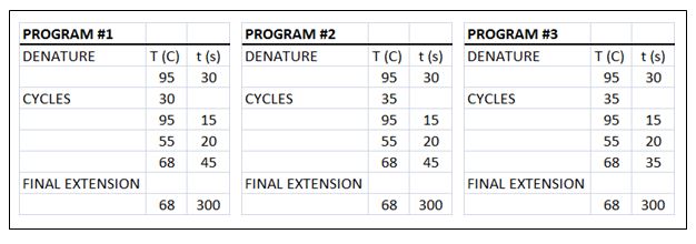 The three PCR programs used for the mushroom amplification.