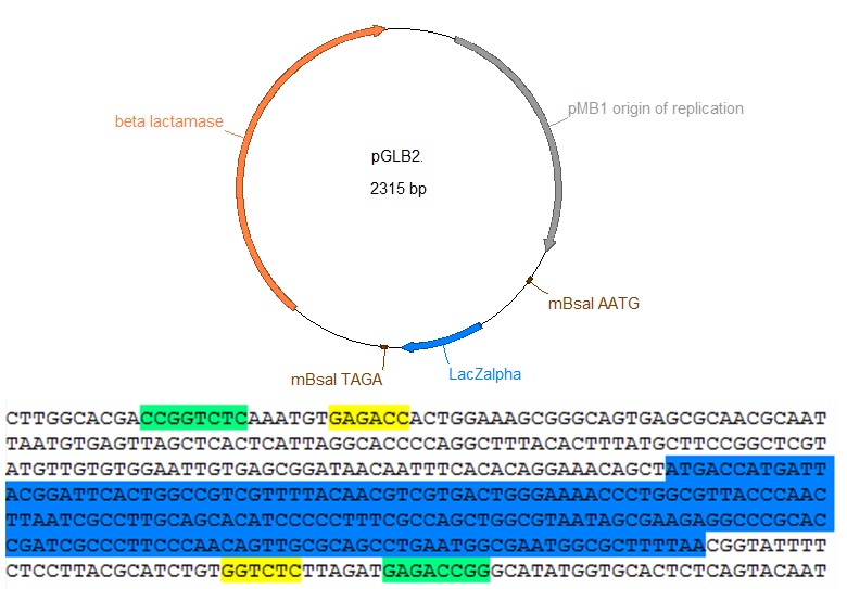 This plasmid map shows the features of pGLB2. pGLB2 is a pUC19 derivative with a redesigned LacZalpha, no BsaI sites in the backbone, and no multiple cloning site. It incorporates the methylation sensitive (light green) and insensitive (yellow) sites to allow hierarchical golden gate assembly with a single restriction enzyme.