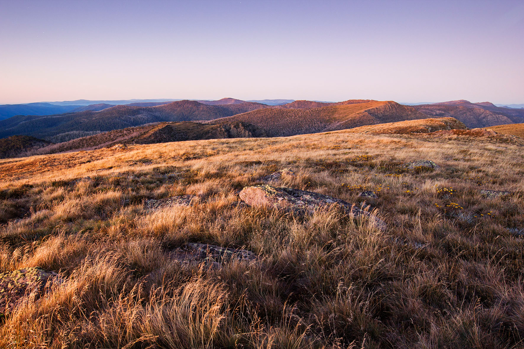 TWS_Image-9.jpg