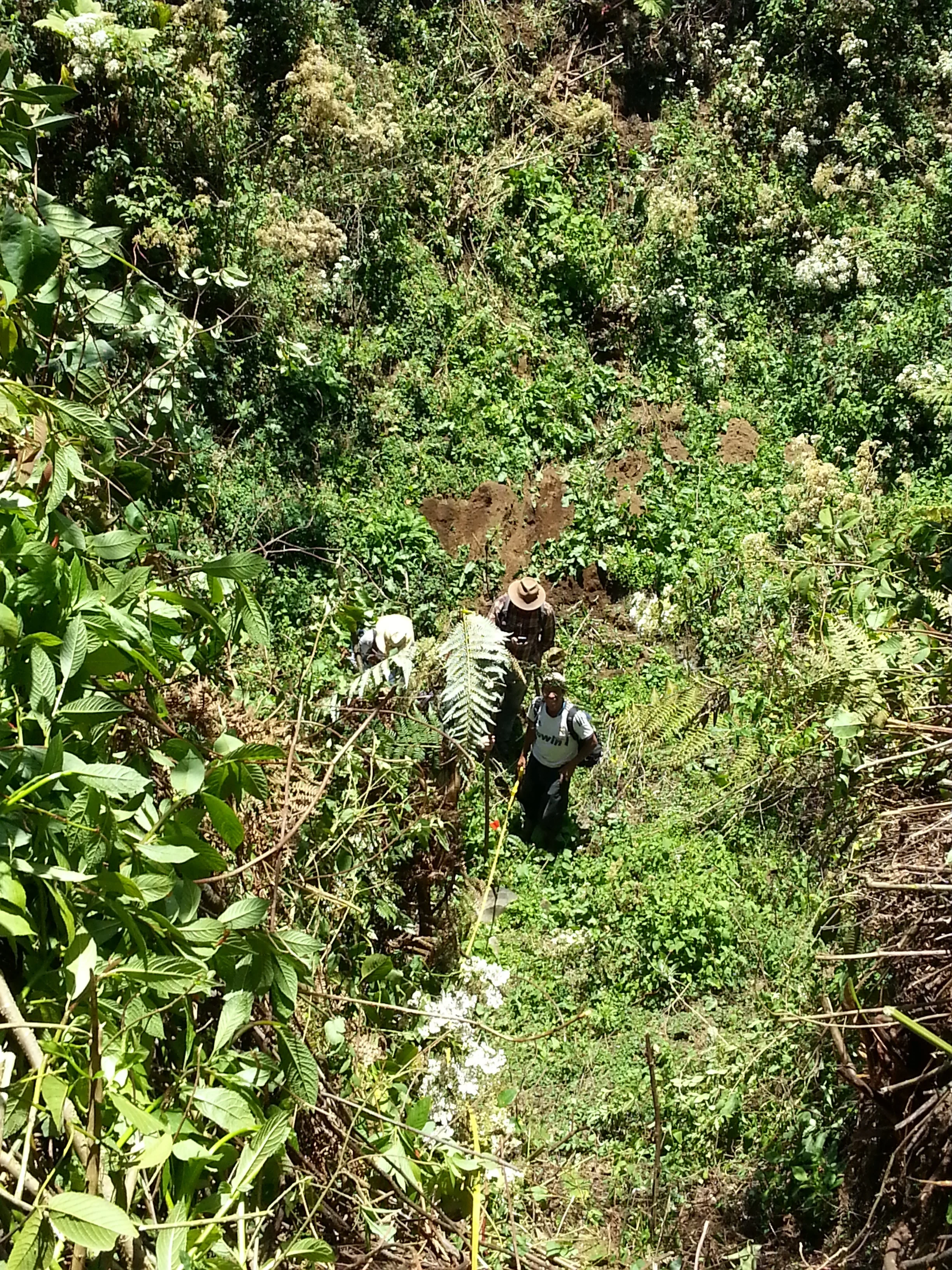 Steep Terrain