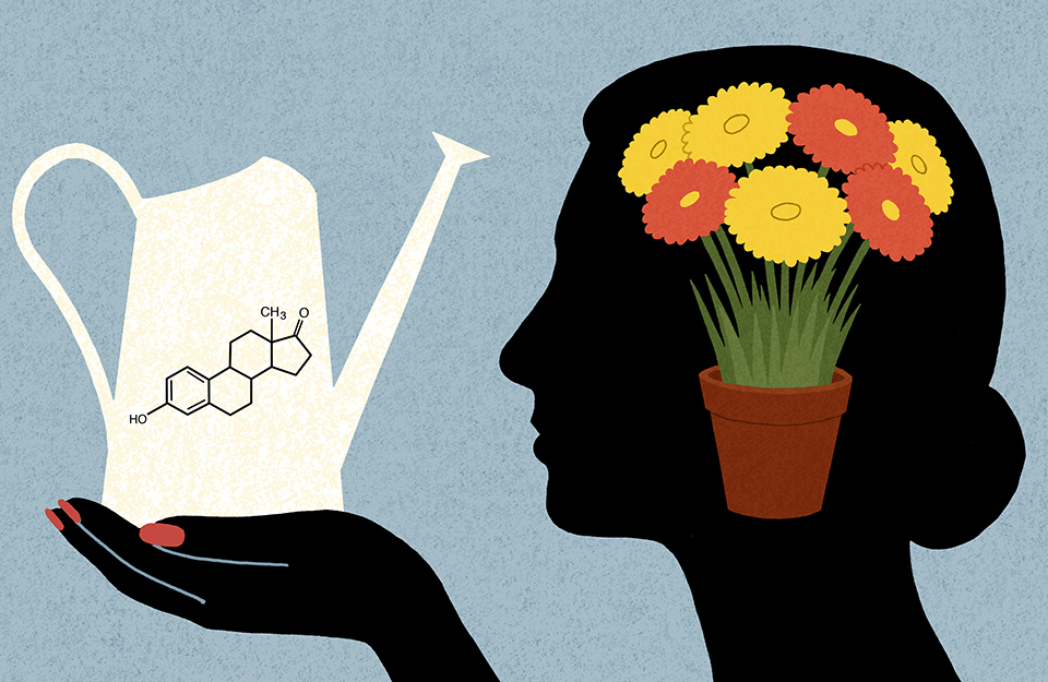 Can Women Prevent Alzheimer's with Estrogen?