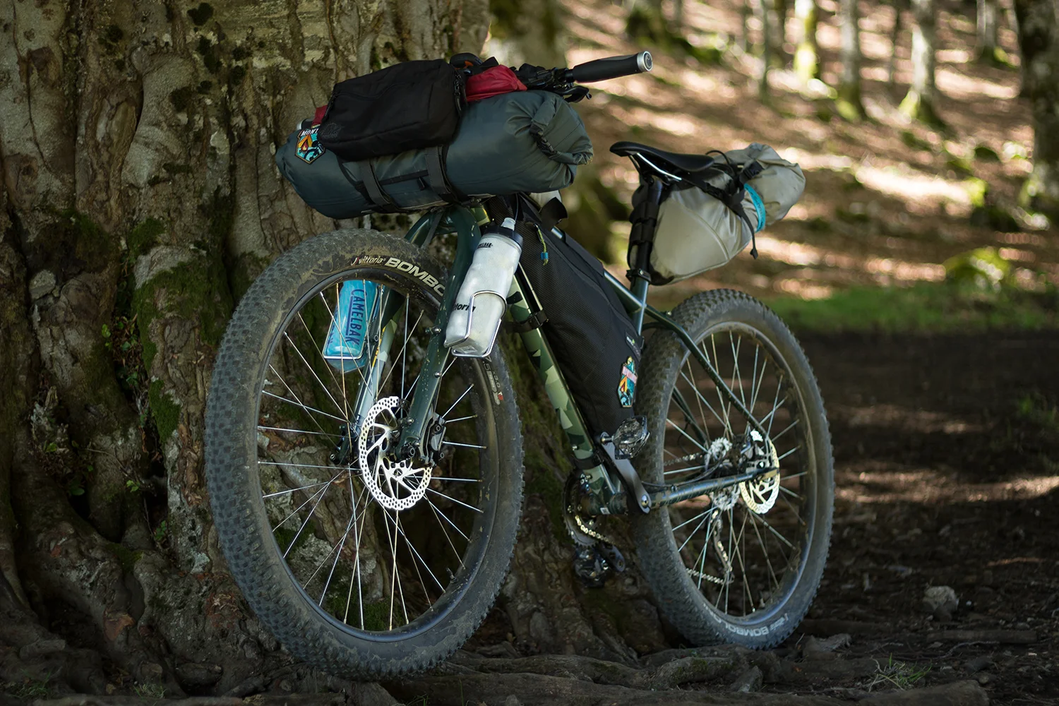 Genesis longitude bikepacking sale
