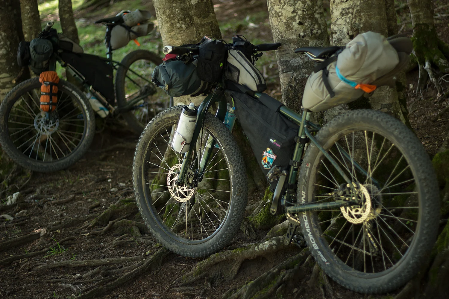 genesis longitude bikepacking