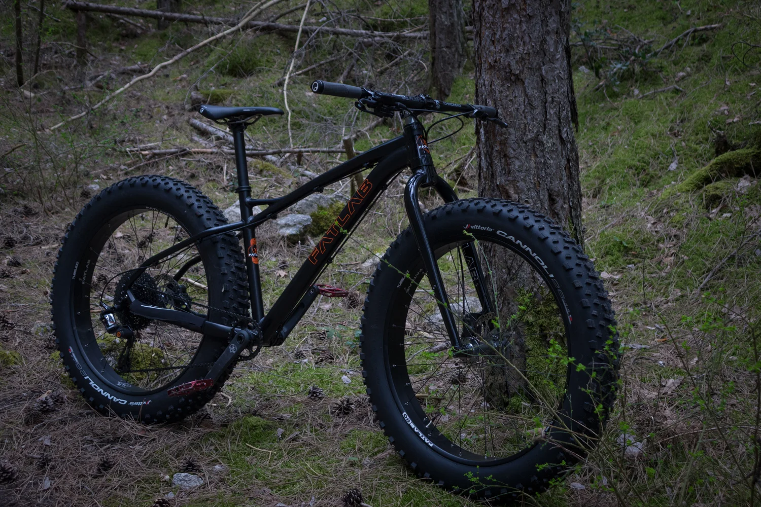 FATBIKE